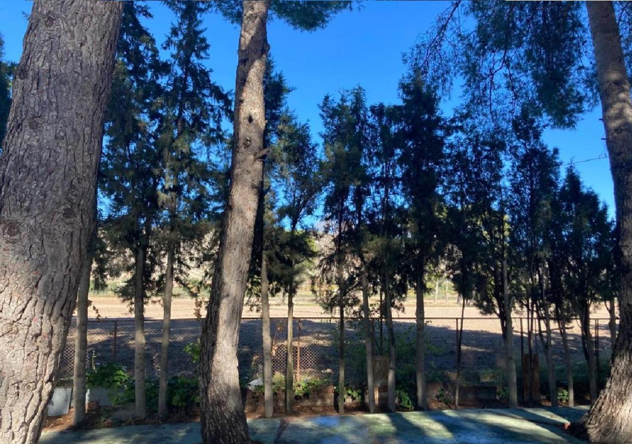 Habitacion En Casa Rural Particular El Palomar 비예나 외부 사진